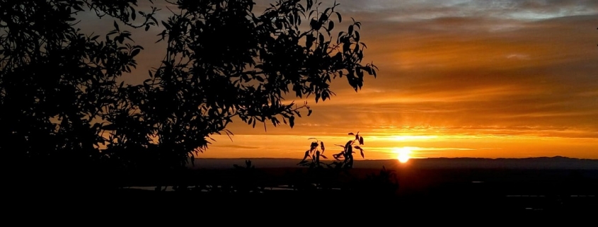ViaCrucis 2019-Amanecer